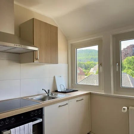 Grafen Hallermunt Apartmán