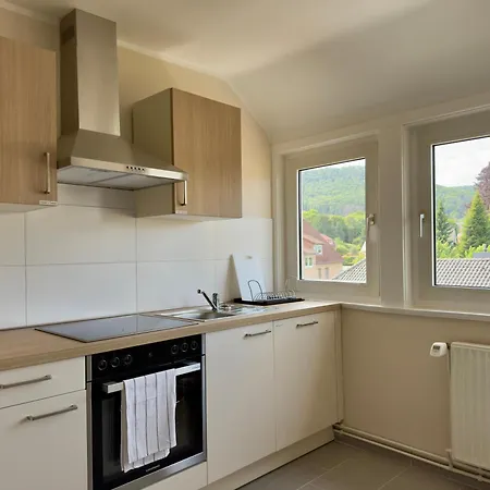 Apartmán Grafen Hallermunt